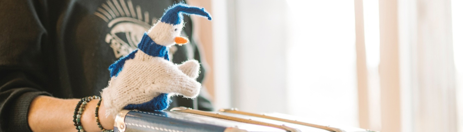 Image Valise Recadree