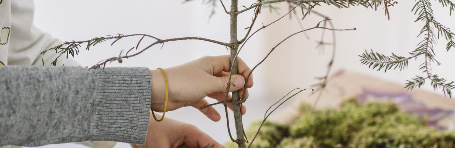 REBSL UAPE Les Vergers St Legier 3